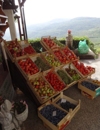 Slovenian Market
